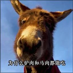 樊登5.7