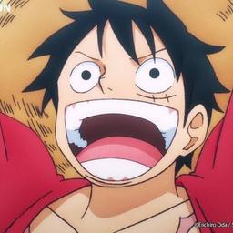 Luffy Portugal 