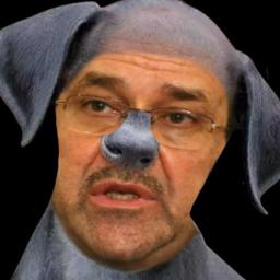 نوري الكلب