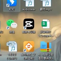 庞先生2