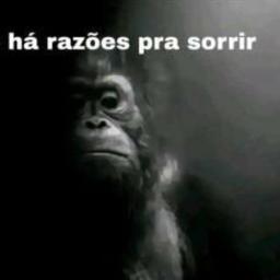 Carlinhos Profundo