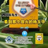 打电话