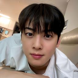 Cha eun woo