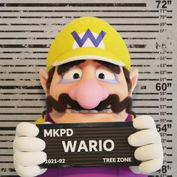 Wario (Danny Devito The Super Mario Bros Movie)