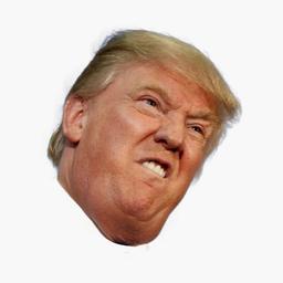 Trump-Bryan-Clone