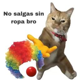 Luisito