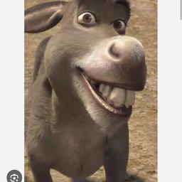 Burro Sherek 