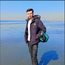 saleem