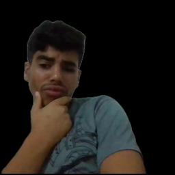 صوت امين