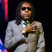 VIBES KARTEL NEW
