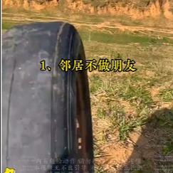 0612-树皮哥
