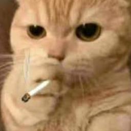 نوى