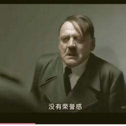元首的愤怒（希特勒）
