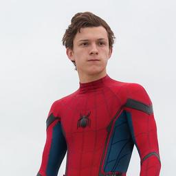 TOM SPIDERMAN