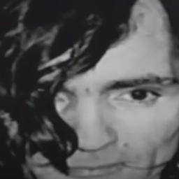 Charlie Vultures
