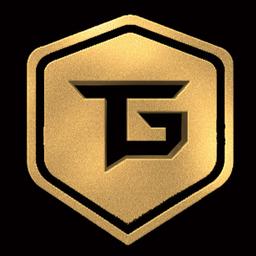 Techno gamerz 