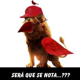 Rolando