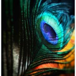 sadhnaepochstudio 