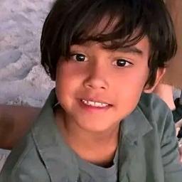 Hayes 
