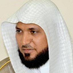 ماهر المعيقلي