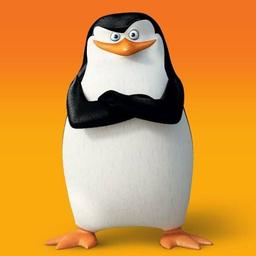 CAPITÃO PINGUIM