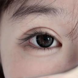 catissllet9423@outlook.com