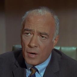 Chief From Get Smart