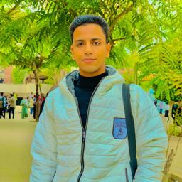 Sayed Gad