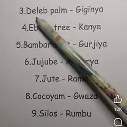 Haqq