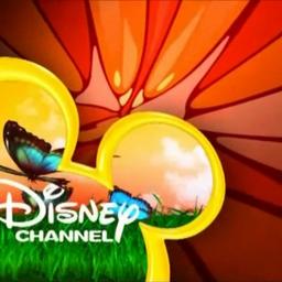 Disney Channel Male Announcer (Bounce era)