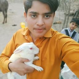 Sagar