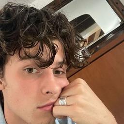 Shawn Mendez 