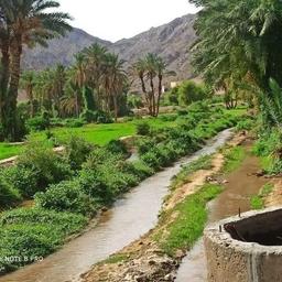 فوزان