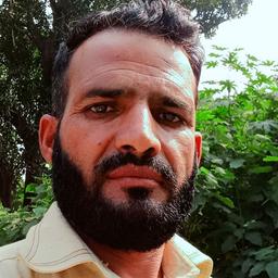 Asim urdu
