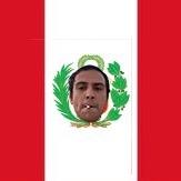 Brandon gay