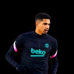 Araujo