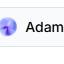 adam-男